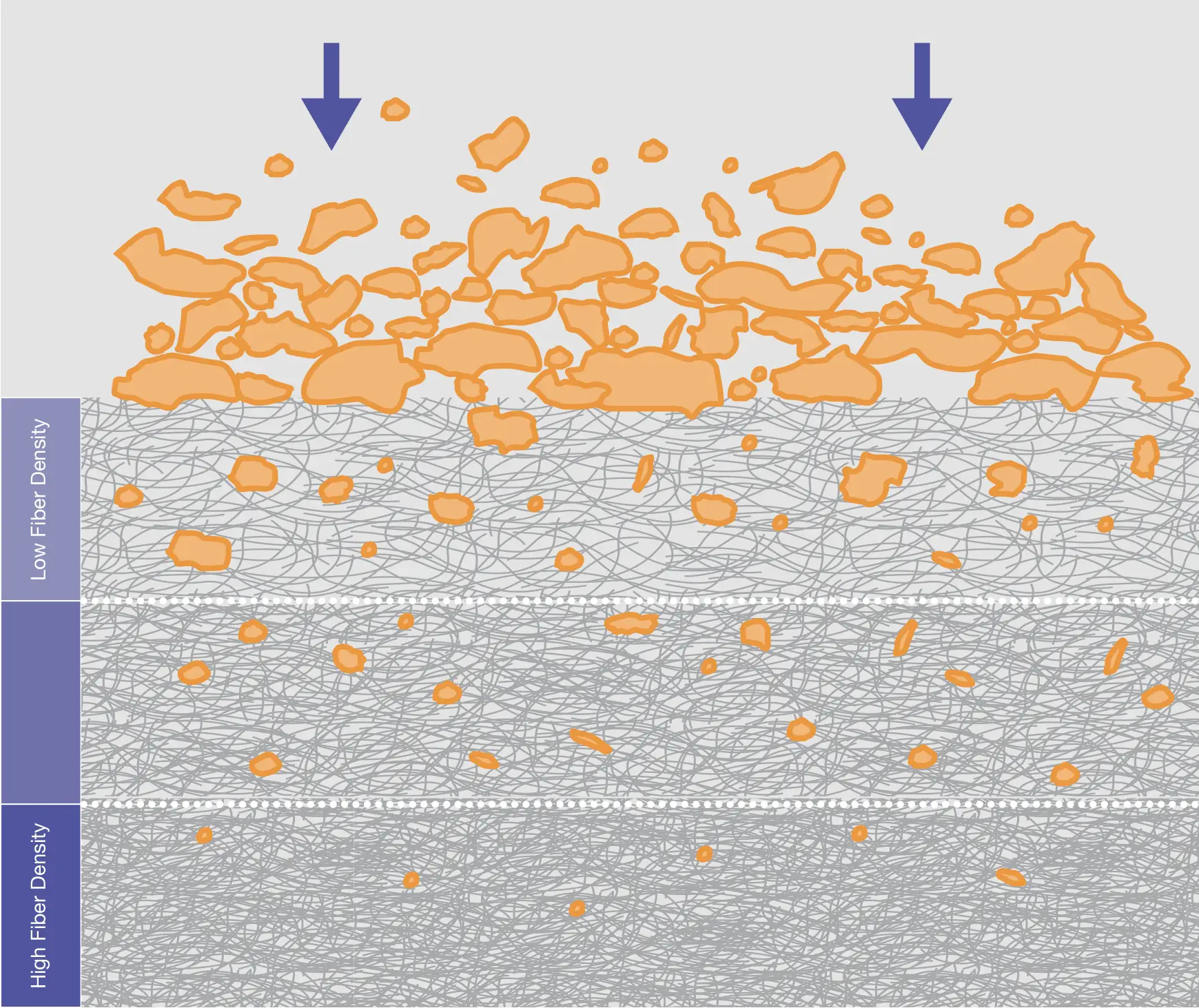 Cross-section illustration showing media flux distribution across Invicta filter media